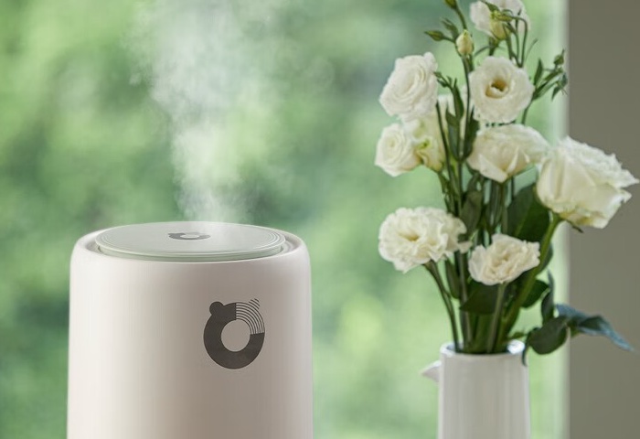 冬季家居，加濕器選購指南